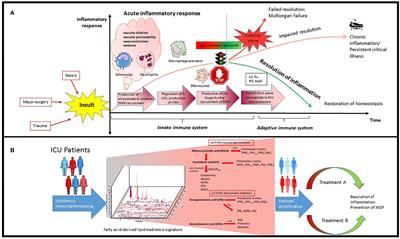 Lipid Mediators in Critically Ill Patients: A Step Towards Precision Medicine